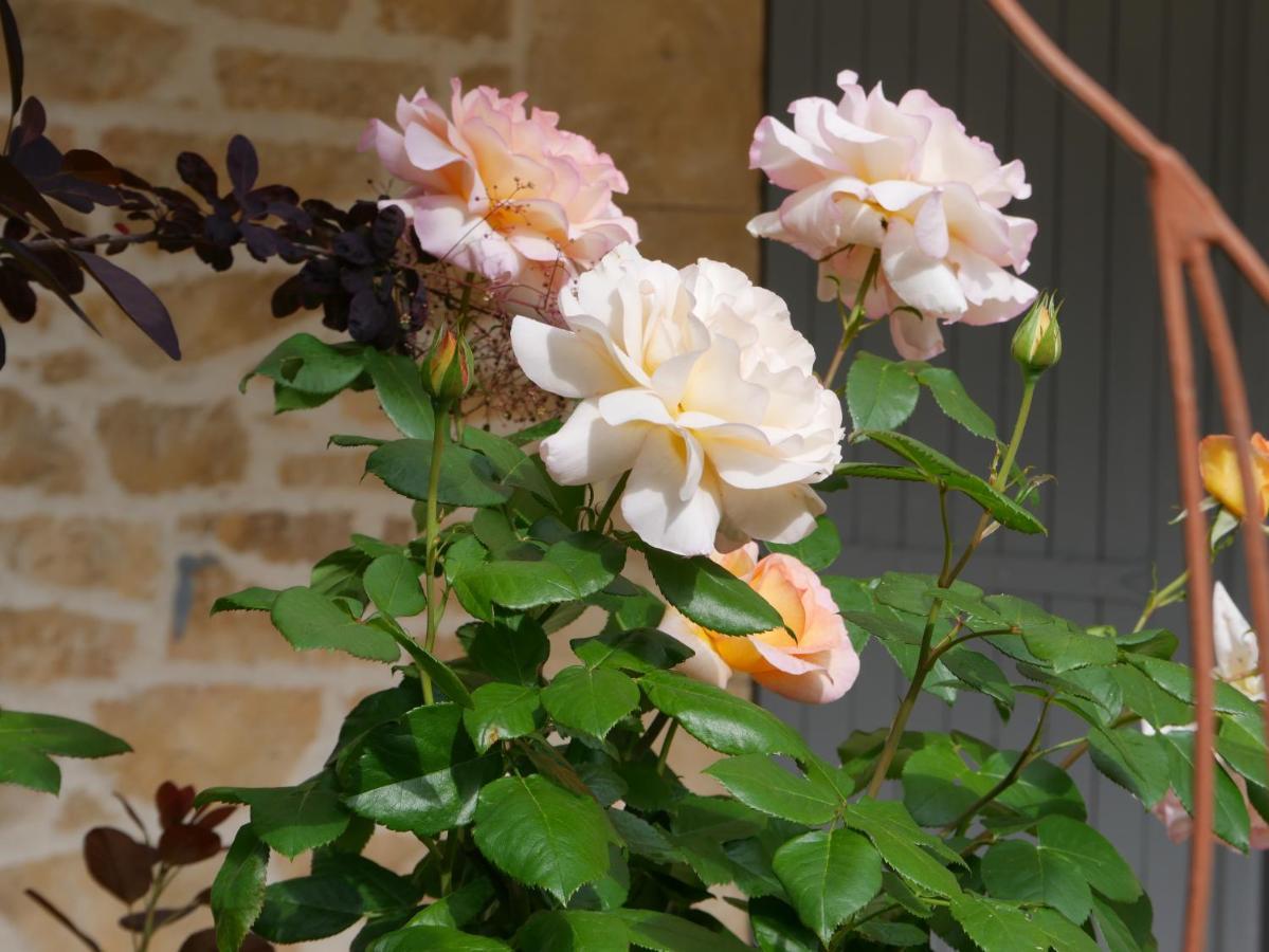 La Bastide Du Murier Alojamento de Acomodação e Pequeno-almoço Cotignac